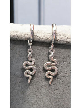 Snake Minimalist Stainless Steel Huggie Hoop Earrings